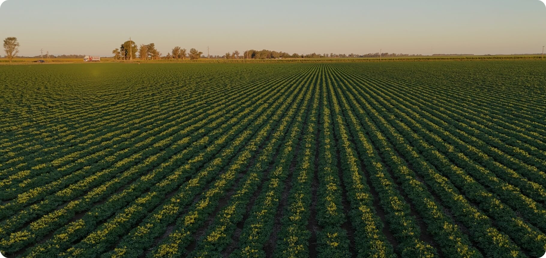 Nuttin Mani Argentina