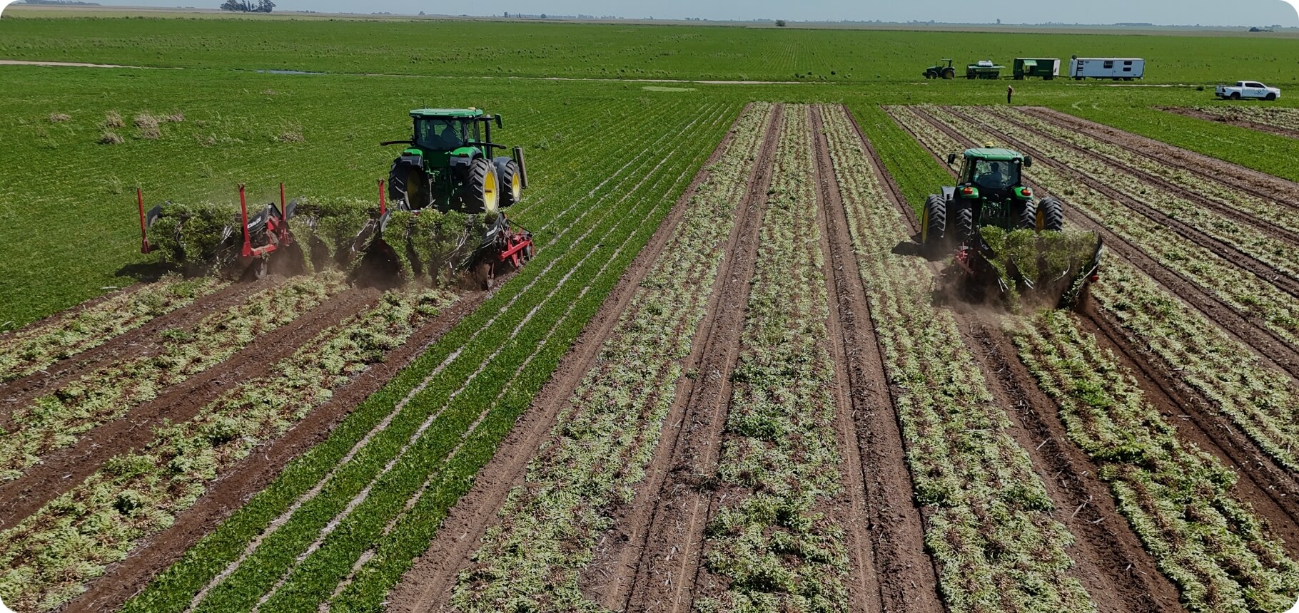 Nuttin Mani Argentina